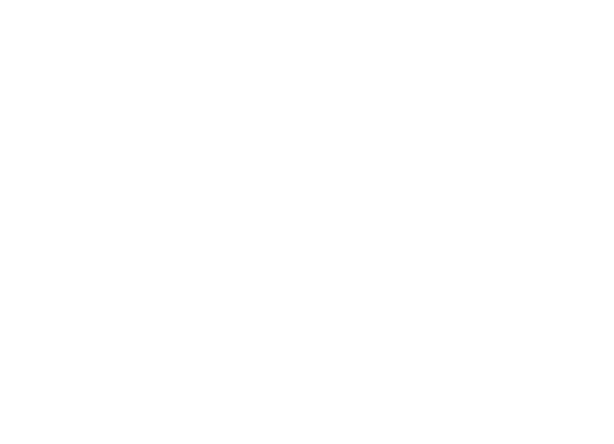 Rocha Importados